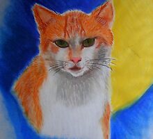 Banjer by patjila