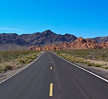 Scenic Road by Henry Plumley