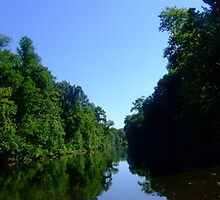 Rivanna River - Albemarle County, Virginia by Chris Martsolf