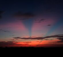 Waking up to another day in paradise by kathy s gillentine
