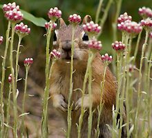Precious Moments (#5 of 9) by Betsy Seeton
