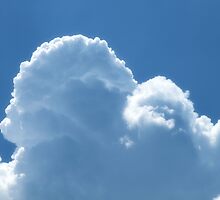 Cloud Sculptures - 2 by Barry W King