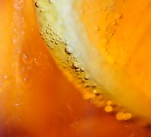 Quench It! by Ainsley Kellar Creations