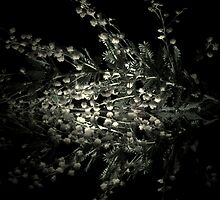 Reflective by Shane Viper