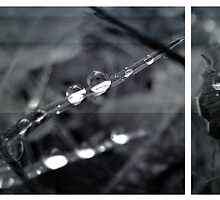 droptych by vampvamp