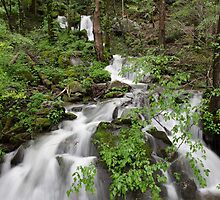 Wet Weather Cascades II by Gary L Suddath