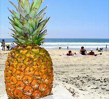 Homesick Pineapple On The Beach by paintingsheep