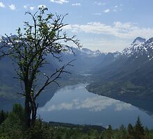 Lonly tree by Annbjørg Næss