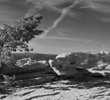 On Hallowed Ground by audhudson