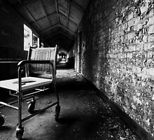 The Cuckoos Nest by Matthew Pugh