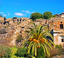 Pompeii Ruins 79AD by Al Bourassa