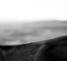 Untitled by Carl Gaynor