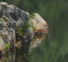 Simple Beauty by Anne Smyth
