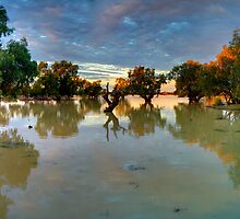 KUDDEREE WATERHOLE by donnnnnny