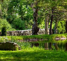 Peaceful Afternoon by Monica M. Scanlan