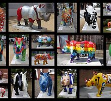 Rhino Mania in Chester by AnnDixon