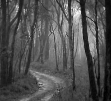Don't Go Into The Woods Today. by Ben Loveday