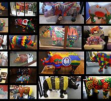 RHINO MANIA Collage : Chester UK by AnnDixon