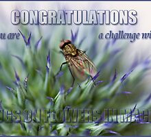 Challenge banner entry by inkedsandra