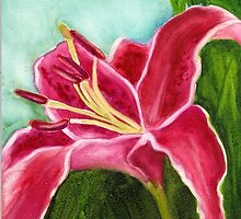 Star Gazer by vickie blair