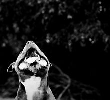 Best smile in the world by Bec Brindley