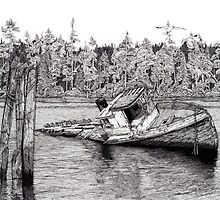 Defying Gravity - The Pine Leaf (Pen and Ink) by Mike Wytinck