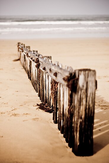 beach dividers