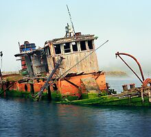Shipwrecked by Inge Johnsson