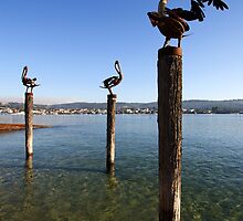 Merimbula Lake by Darren Stones