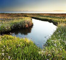 Mirror Mirror on the Marsh by Andy Freer