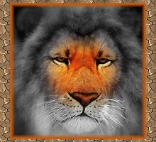Animal Collection by artisandelimage