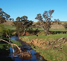 The Beauty Of Breakfast Creek. by shortshooter-Al
