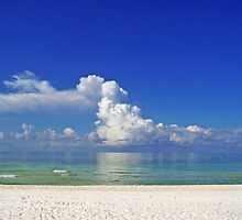 Left speechless at the beach by Tgarlick
