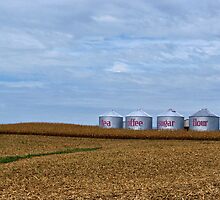 Grain Bins by Sandy Keeton
