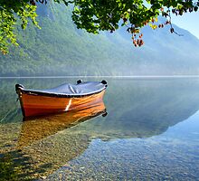 Stillness by Ian Middleton
