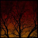 The Haunted Old Tree by Michele Ford