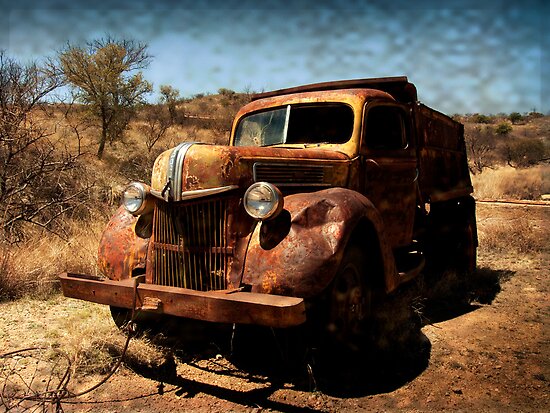 The Old Ford Truck Ruby Arizona by Lucinda Walter