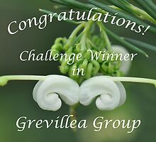 Grevillea Challenge Win Banner by MissyD