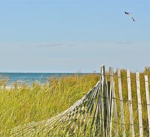 A Kite Flys Over the Sand Doons - Narragansett - RI - US by Jack McCabe