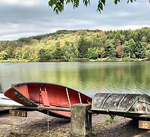 Fall at Frances Slocum by Monnie Ryan