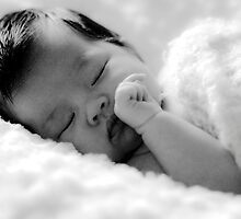 ava .................... by deborah brandon