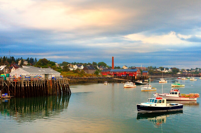 jonesport single guys Easily order maine lobster shipped directly to your door as early as tomorrow enjoy fresh lobsters on any occasion from lobstercom. jonesport single guys Easily order maine lobster shipped directly to your door as early as tomorrow enjoy fresh lobsters on any occasion from lobstercom.