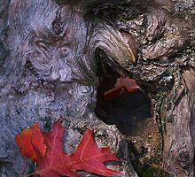 The Guardian by Richard G Witham