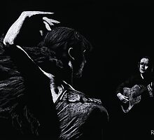 Flamenco Recital by Richard Young