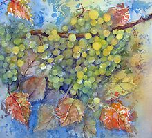 Grape Expectations by bevmorgan