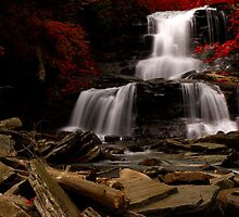 Red Autumn by BigD