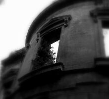 Baron Hill - Rear 2 by George Bulled