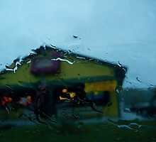 Blinding rain in Vermont by RonnieGinnever