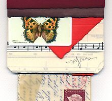 Butterfly Emerges by Michael Douglas Jones