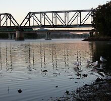 Sunny Urunga and Surrounds... by Lynette Higgs